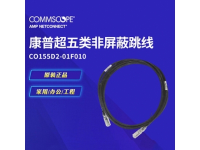安普AMP安普超五类非屏蔽跳线CO155D2-01F010原型号1-1859244-0